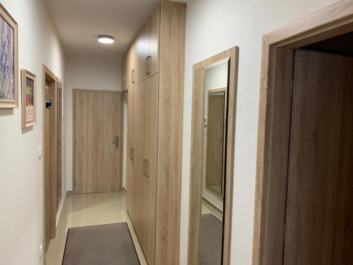 Apartment Rezidence - Javor & Wellness Железна-Руда Экстерьер фото