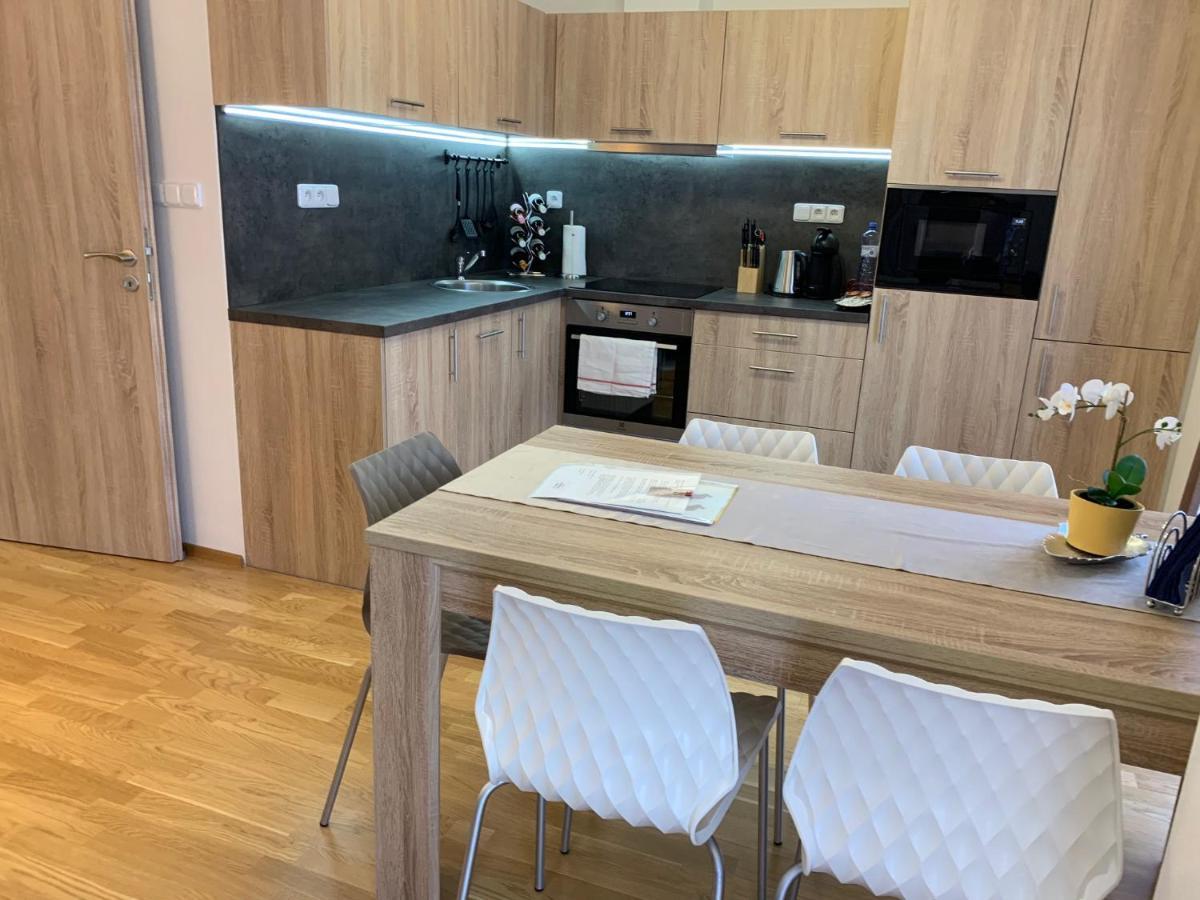Apartment Rezidence - Javor & Wellness Железна-Руда Экстерьер фото
