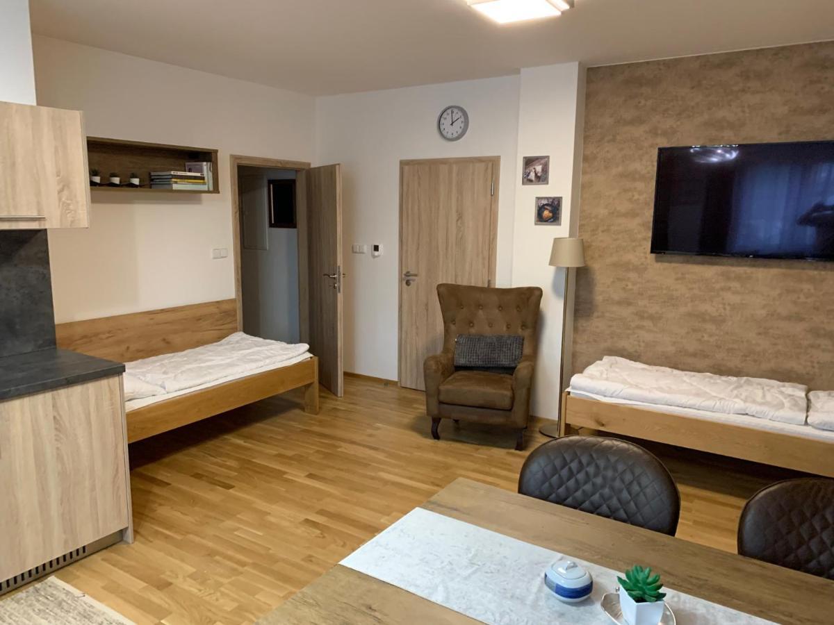 Apartment Rezidence - Javor & Wellness Железна-Руда Экстерьер фото
