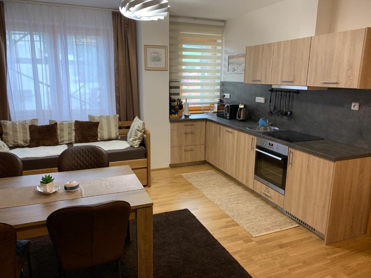 Apartment Rezidence - Javor & Wellness Железна-Руда Экстерьер фото