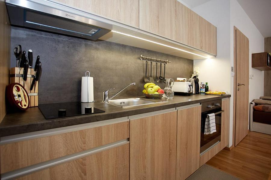 Apartment Rezidence - Javor & Wellness Железна-Руда Экстерьер фото
