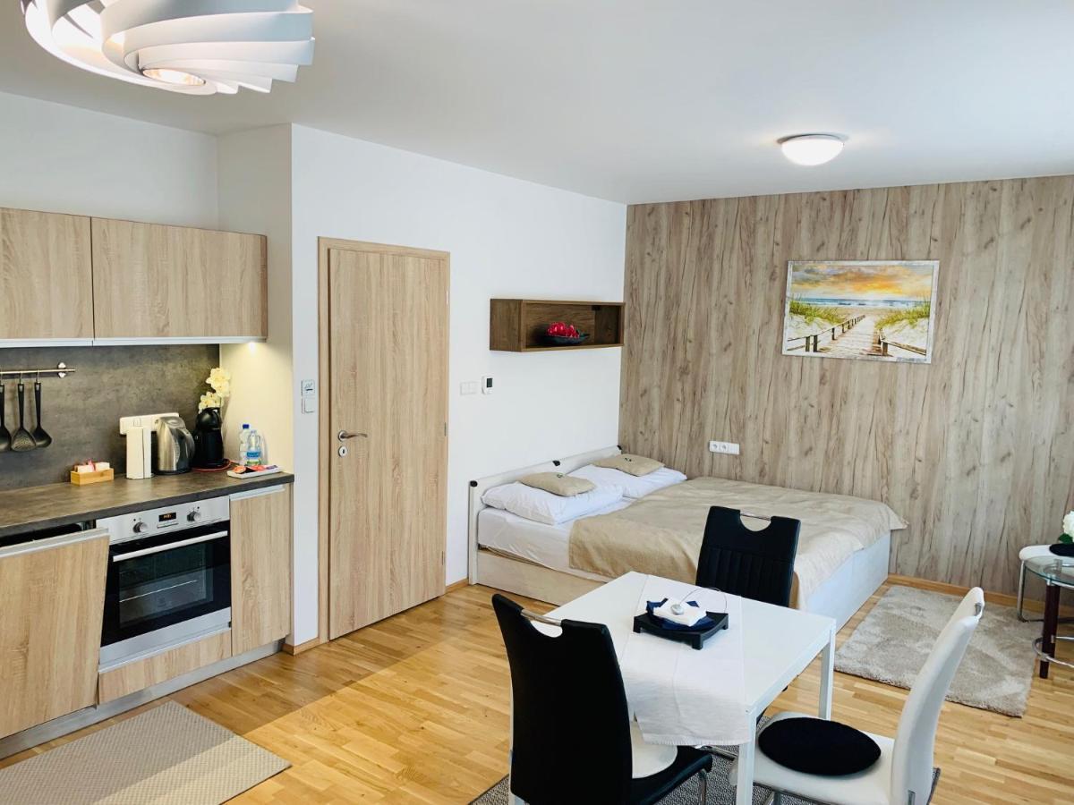 Apartment Rezidence - Javor & Wellness Железна-Руда Экстерьер фото